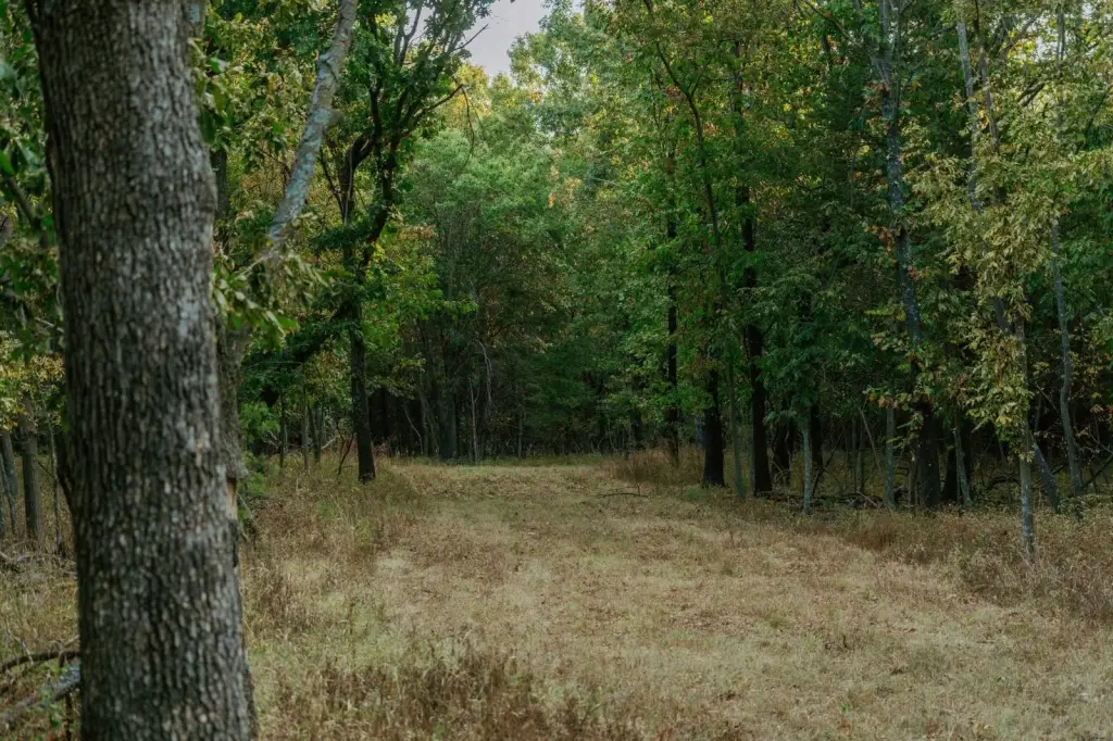 Picture 39