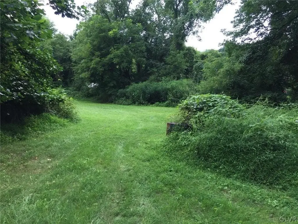Picture 3