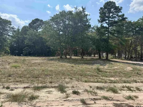 Commercial Land Near Lake Cypress