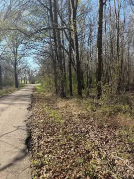 Omaha, TX Rural Acreage