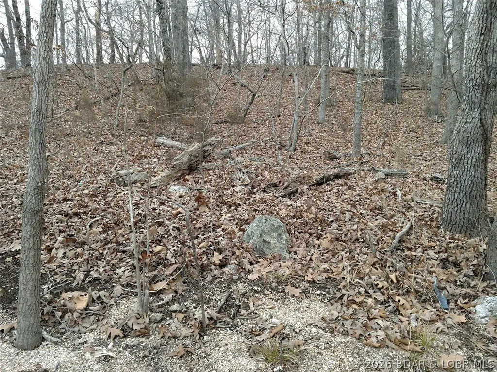 Picture 17