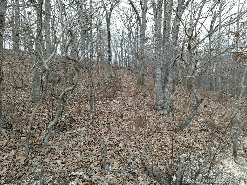 Picture 16