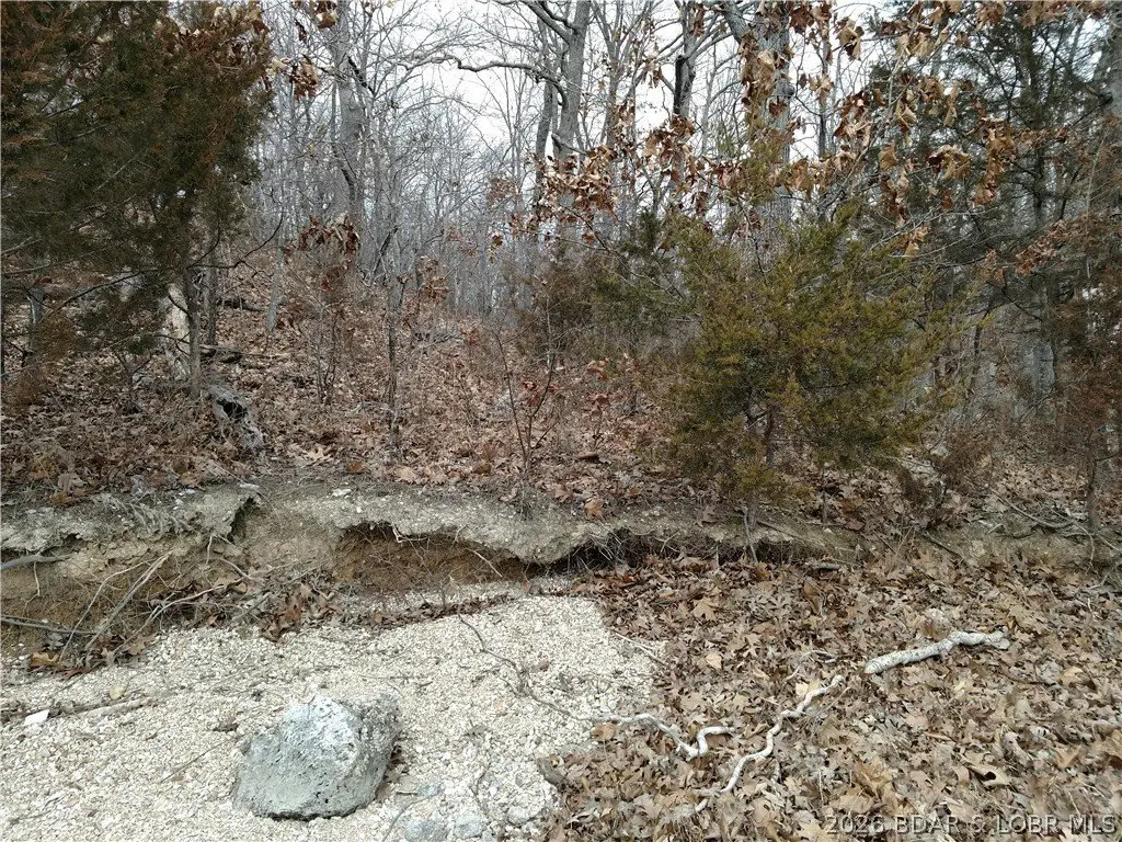 Picture 15
