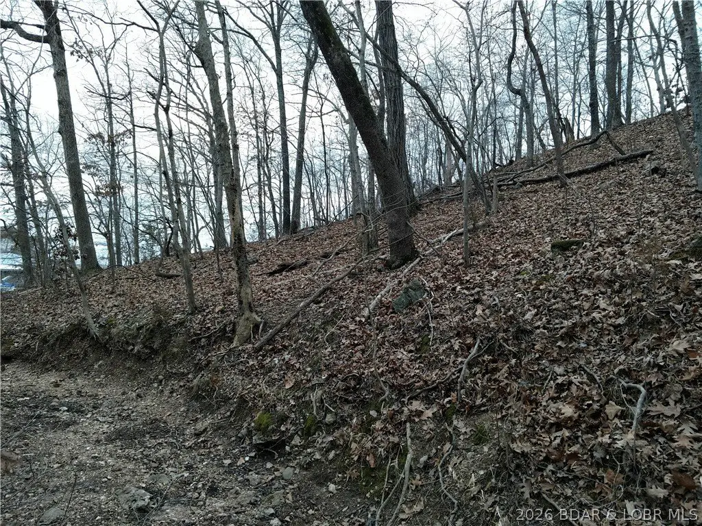 Picture 19