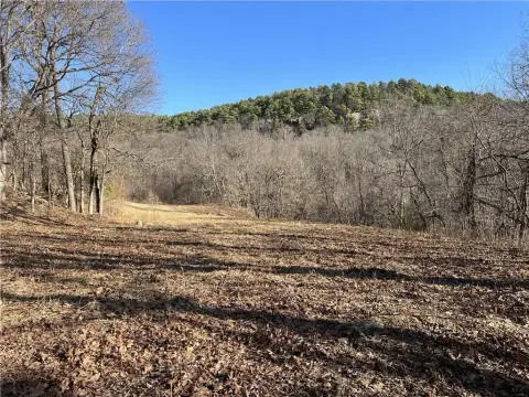 Land with Ozark Mountain View