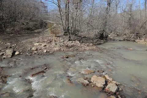 246.8 Acres Recreational Land For Sale