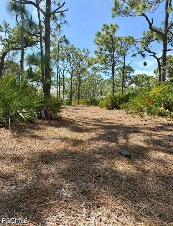 Picture 10