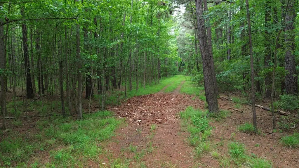 Picture 3