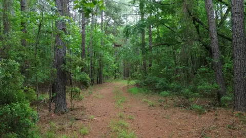 Lane, SC Vacant Land