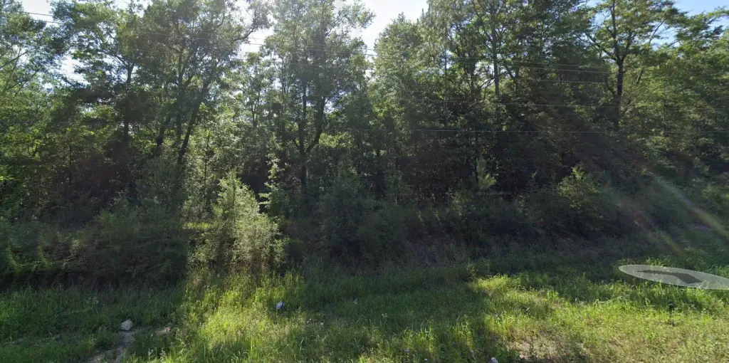 Picture 3