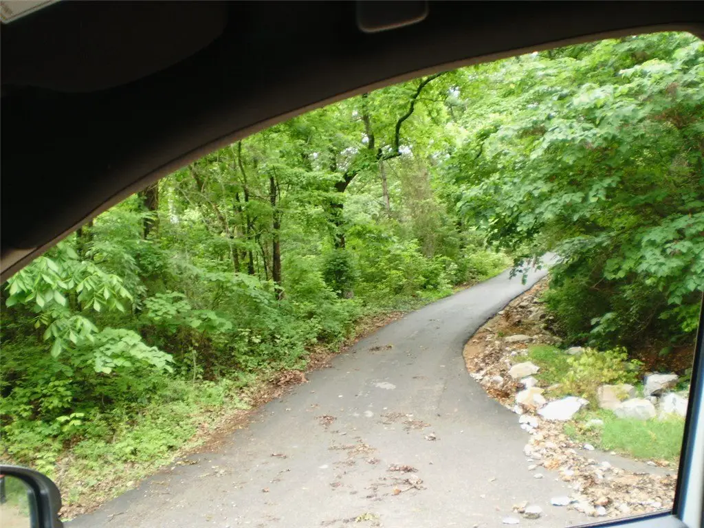 Picture 7