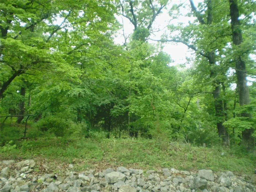 Picture 2