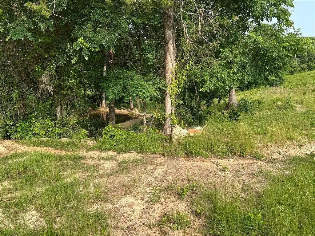 Picture 17