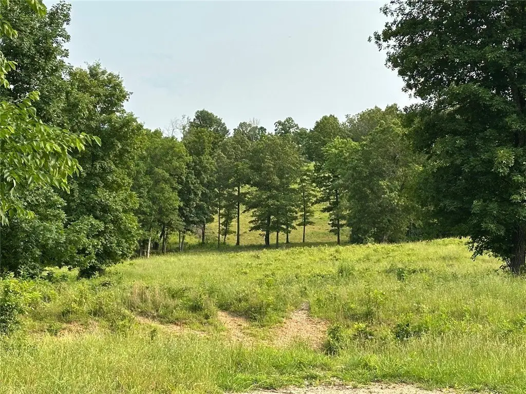 Picture 15