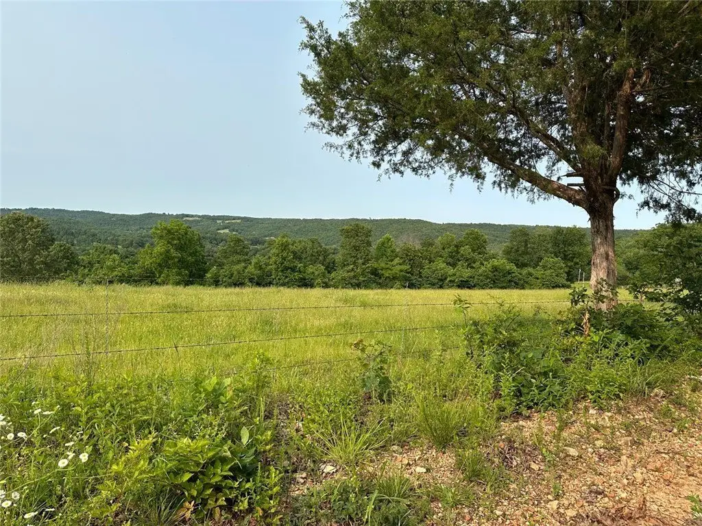 Picture 29
