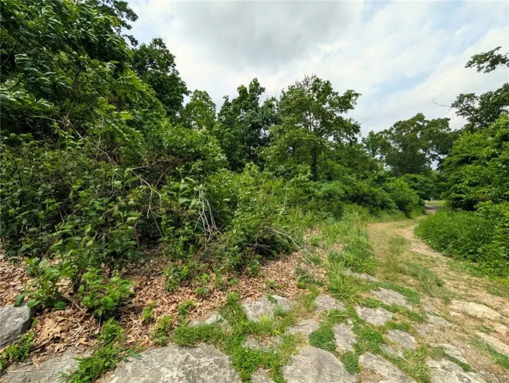 Picture 7