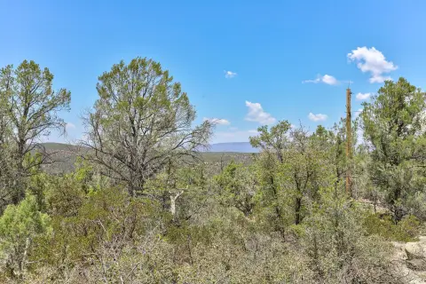 Payson Land with View Potential