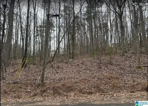Wooded Lot in Pinson, AL