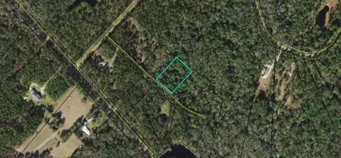 SOPCHOPPY, FL Land Opportunity