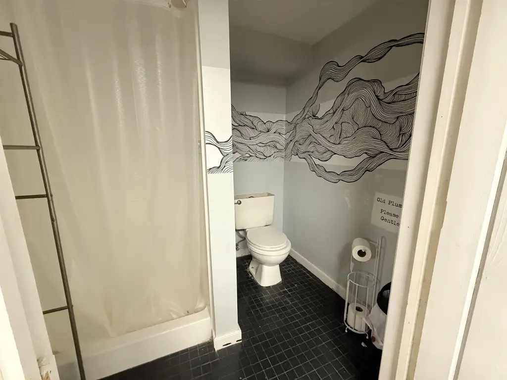 Picture 5