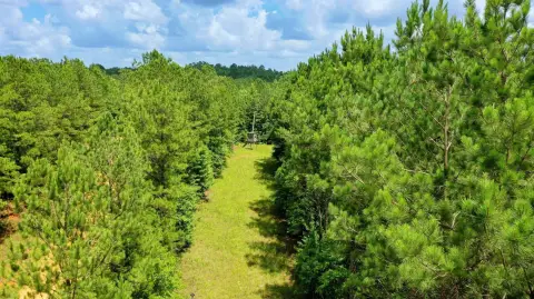 Versatile 160-Acre Timber Investment Tract