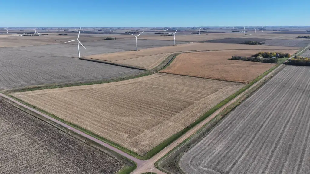Picture 27