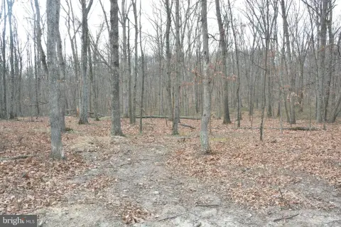 Private Wooded Lot in Virginia