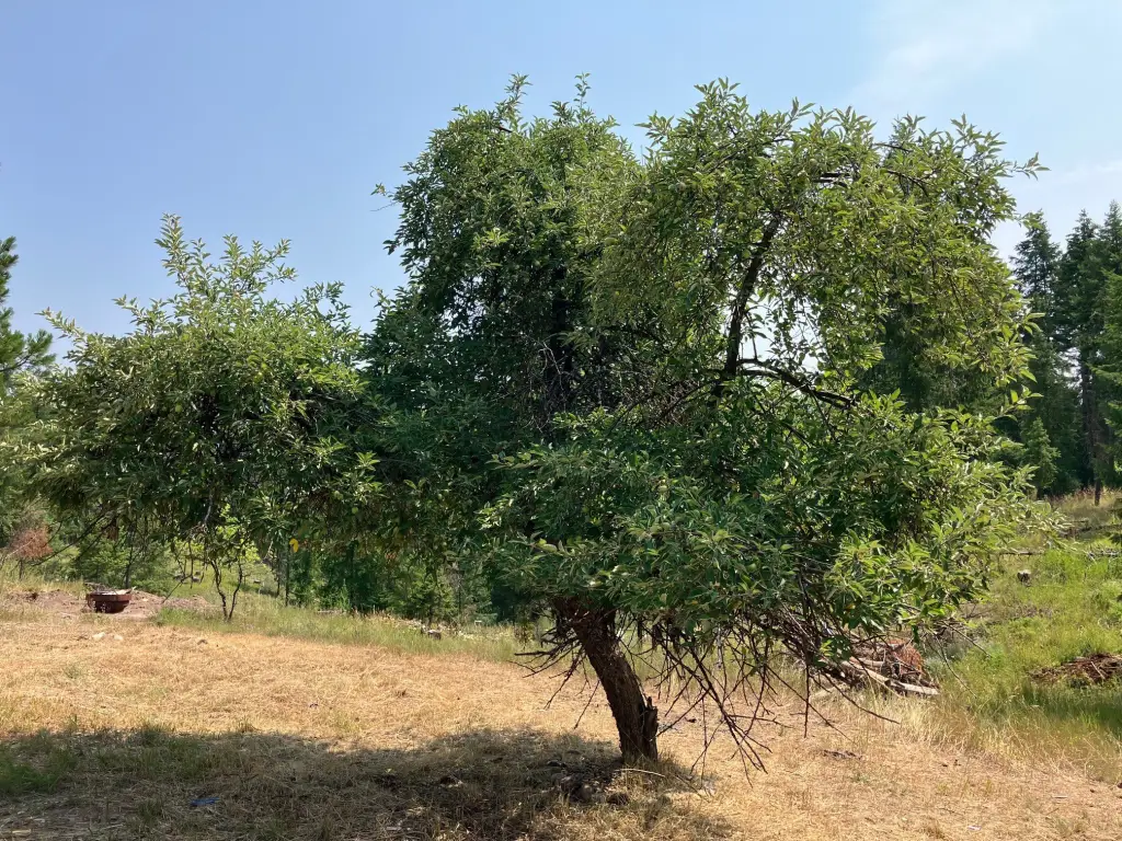 Picture 22