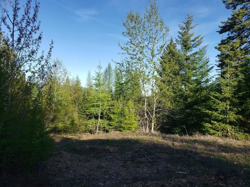 Picture 5