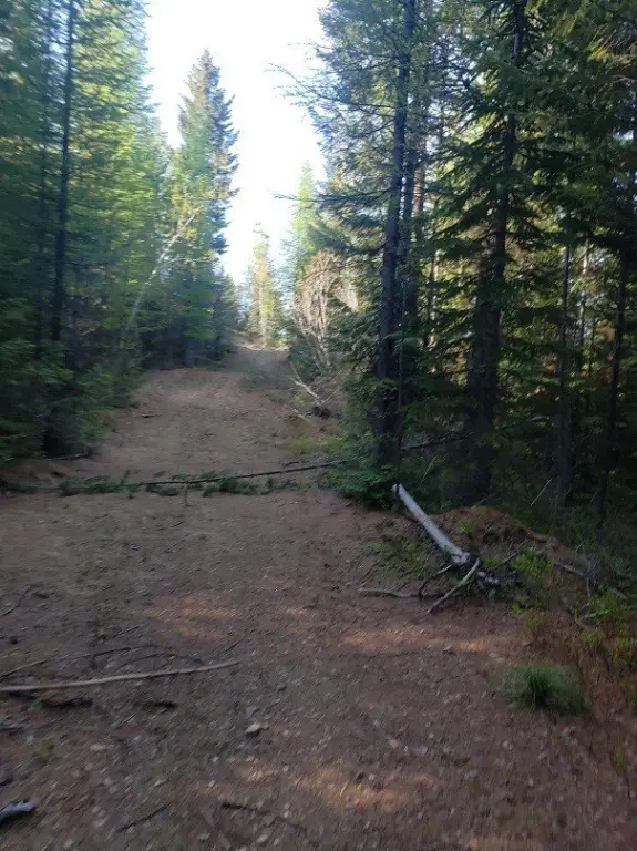 Picture 3
