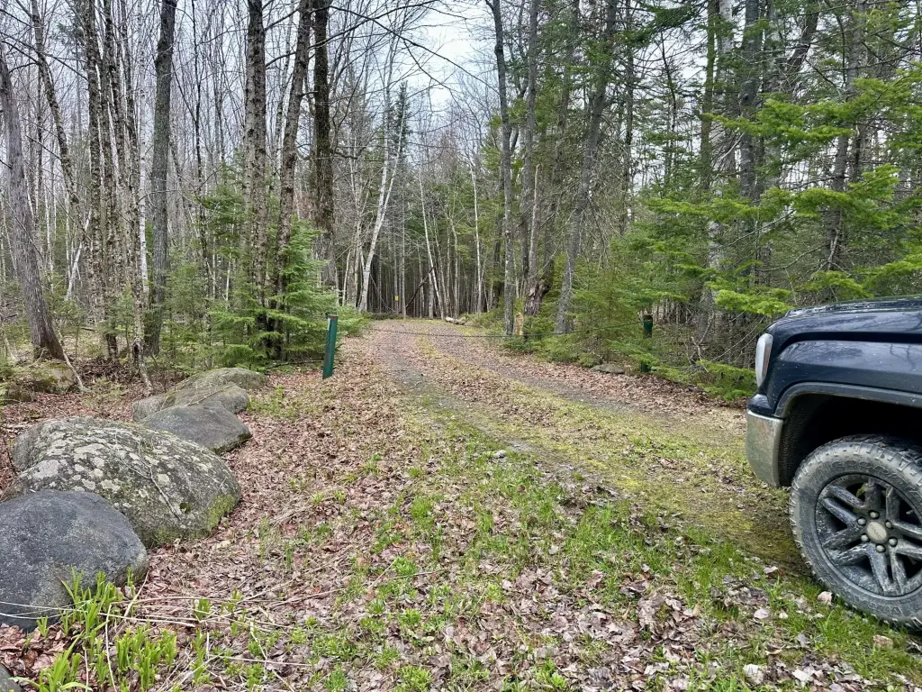 Picture 4