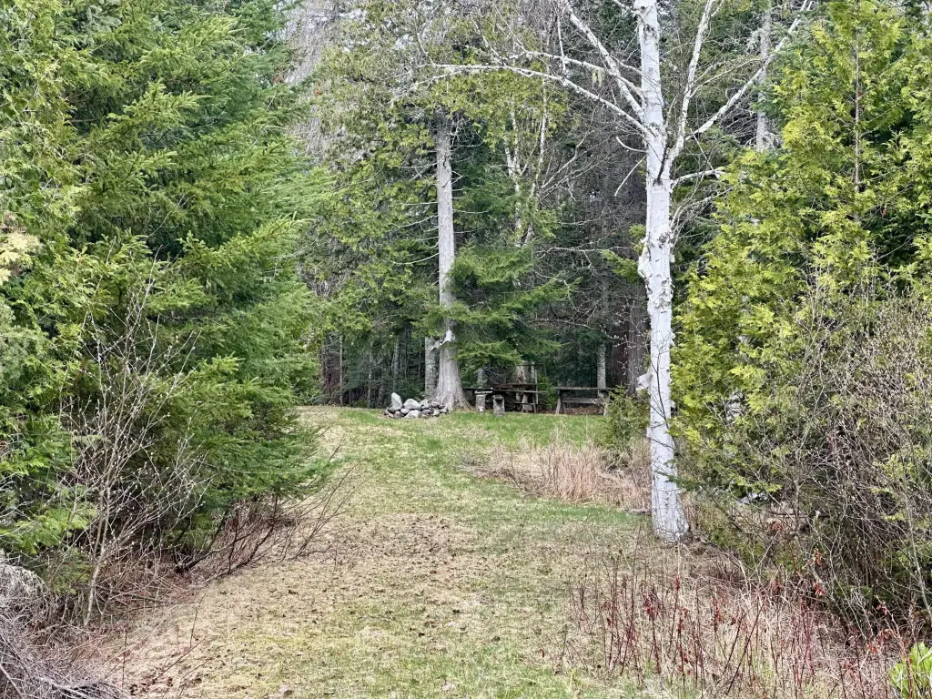 Picture 16