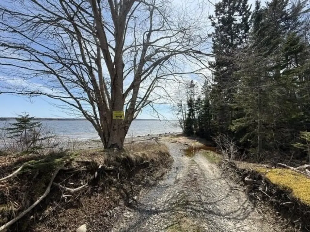 Picture 8