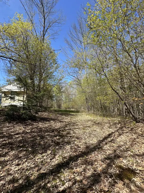 Picture 10