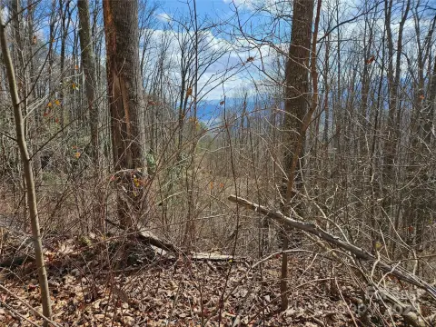 Waynesville Land with Mountain Views