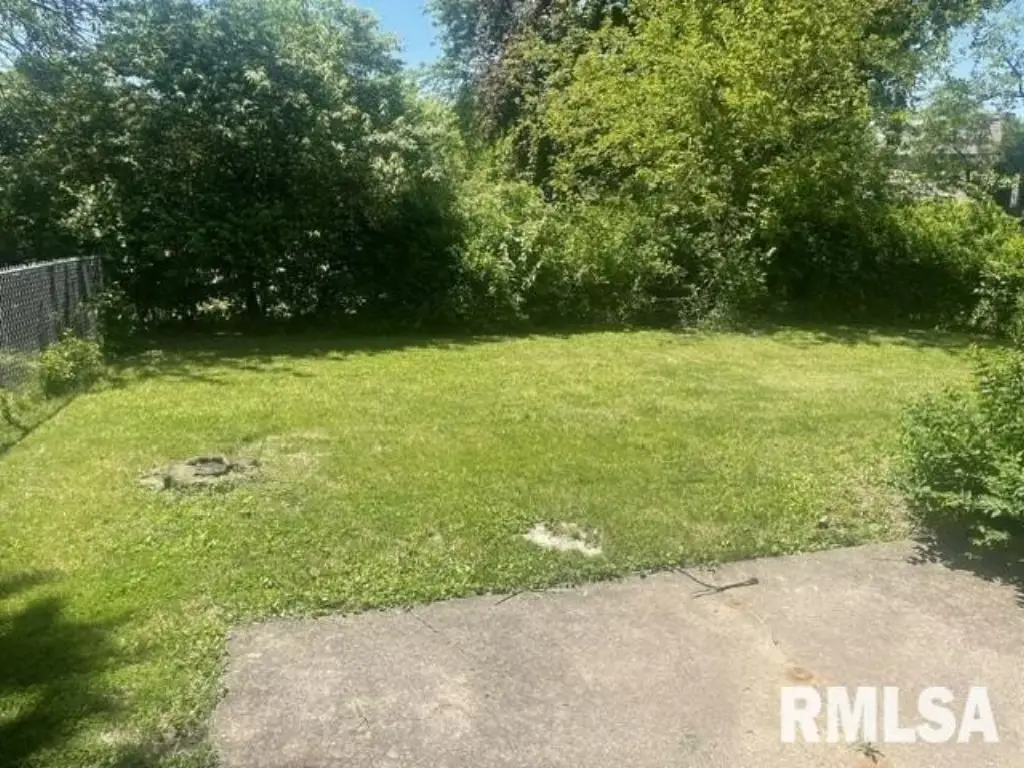 Picture 27