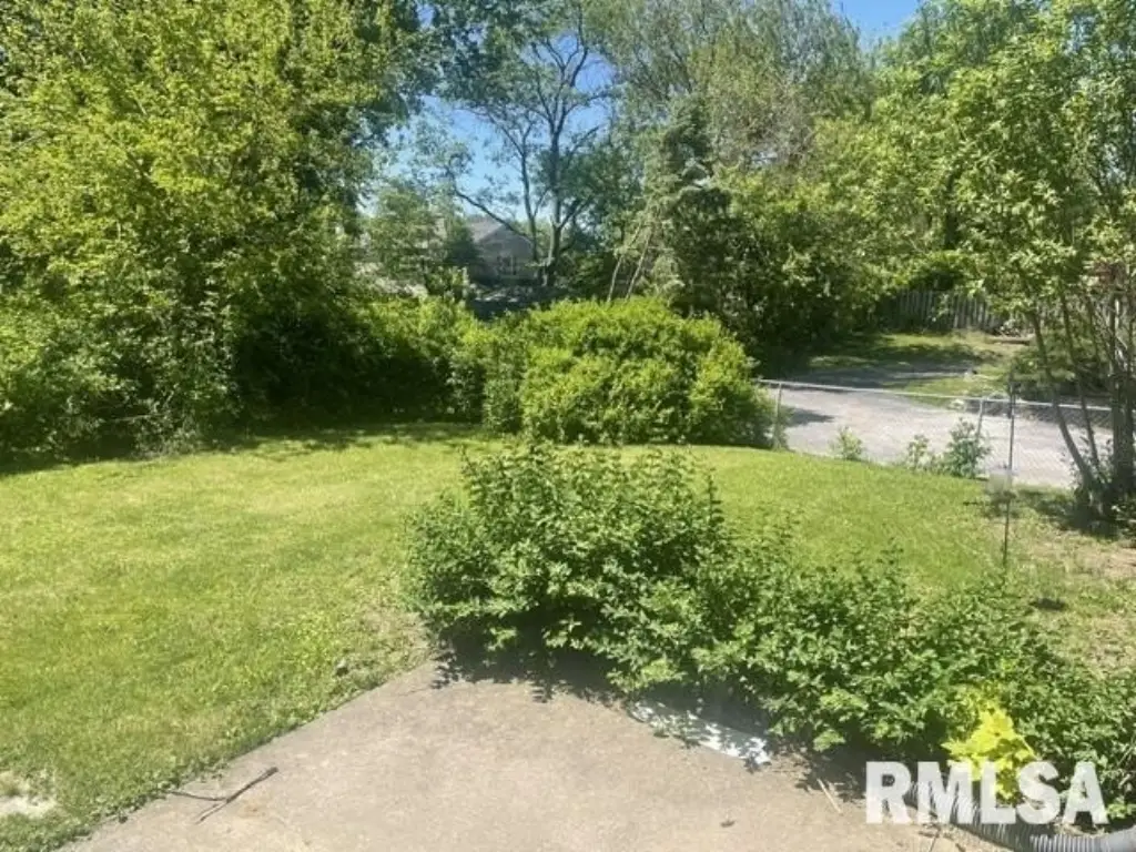 Picture 26