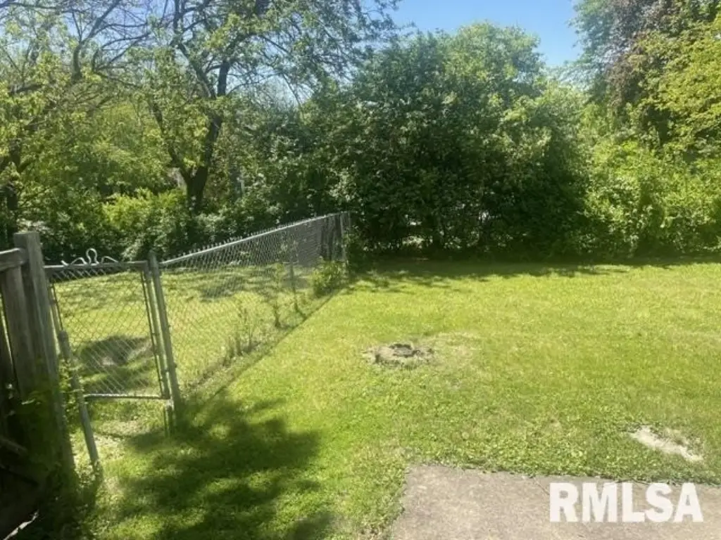 Picture 25