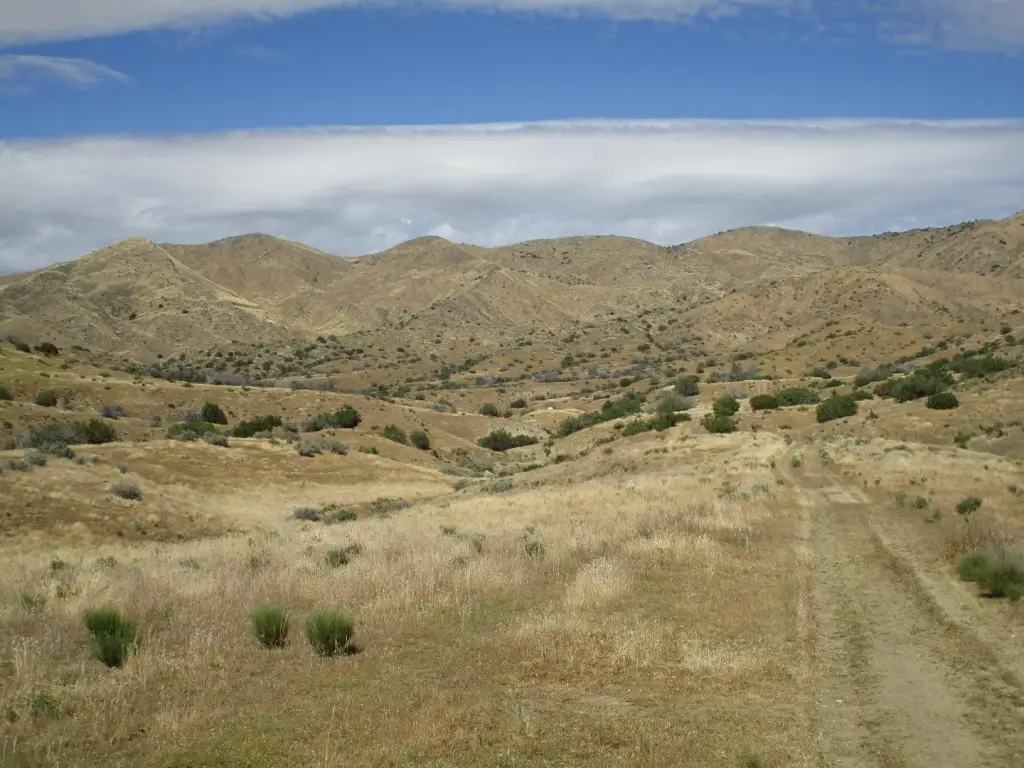 Picture 2