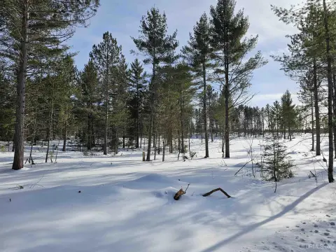 Wooded Hunting Land
