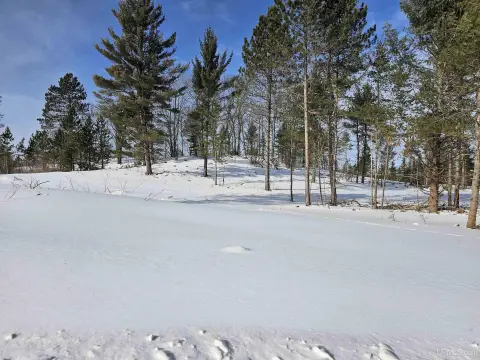 Wooded Hunting Land