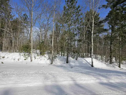 Wooded Hunting Land