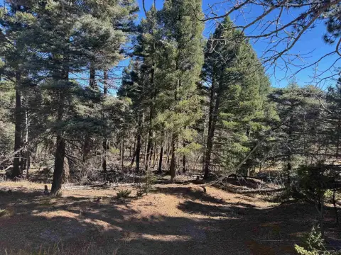 Half-Acre Lot Backing Hiking Trail