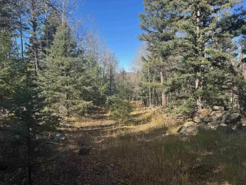 Wooded Lot Near Ski Access