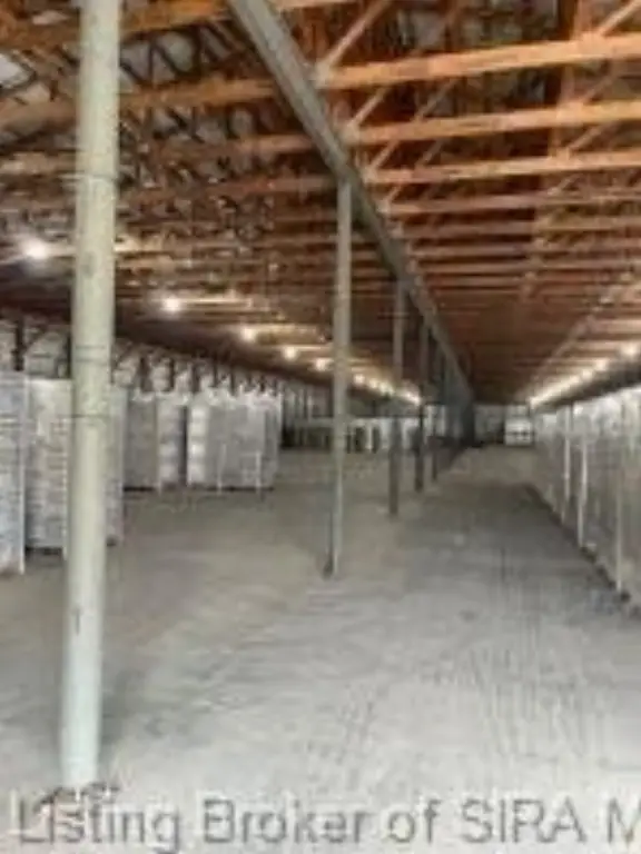 Picture 10