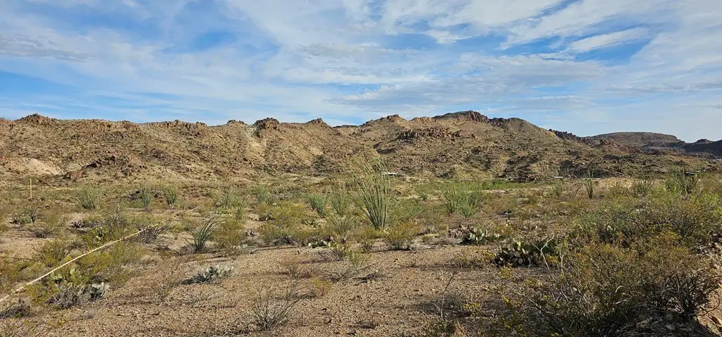 Picture 32