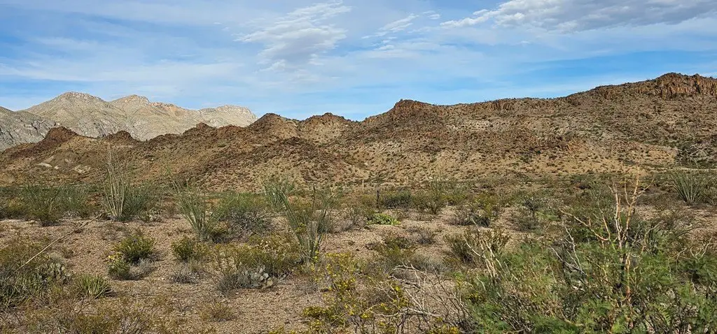 Picture 15