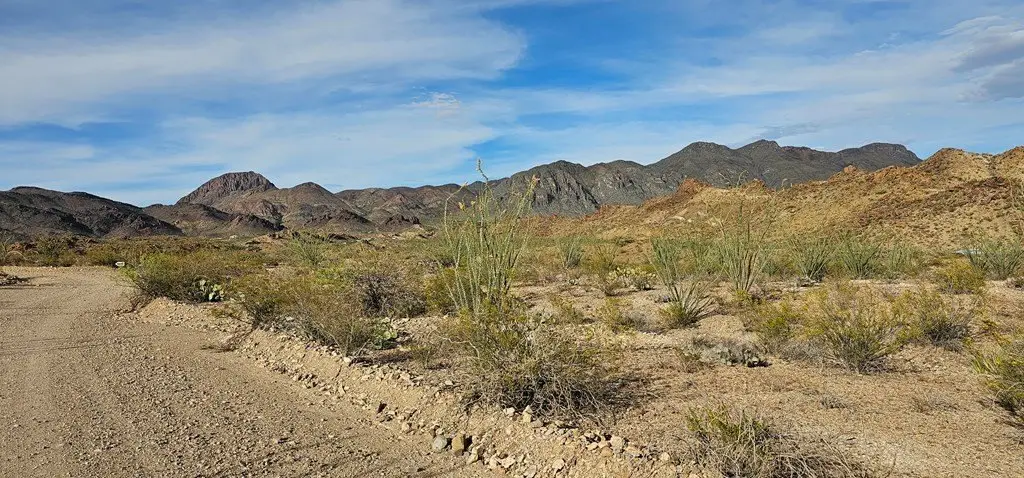 Picture 29