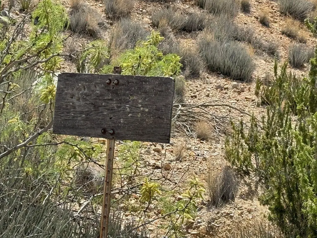Picture 38