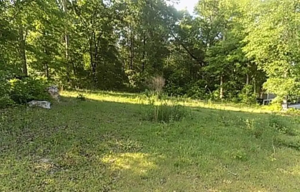 Picture 3